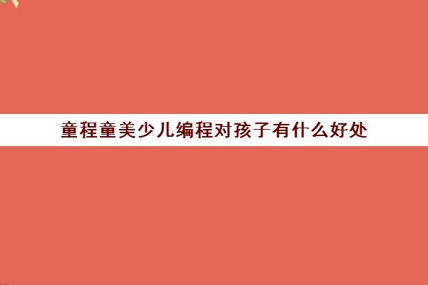 比如强大的考研教学团队